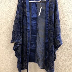 Blue Velvet Shawl